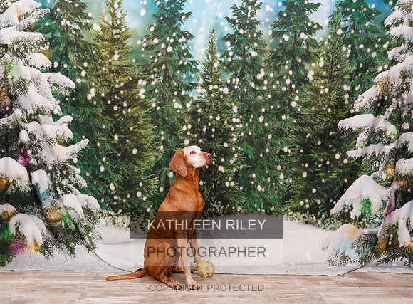 2022-KathleenRileyPhotography-2044