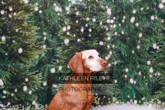 2022-KathleenRileyPhotography-2045