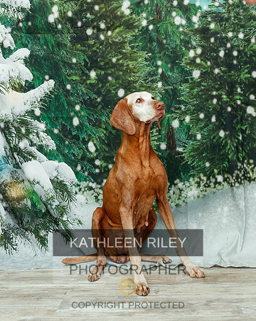 2022-KathleenRileyPhotography-2046