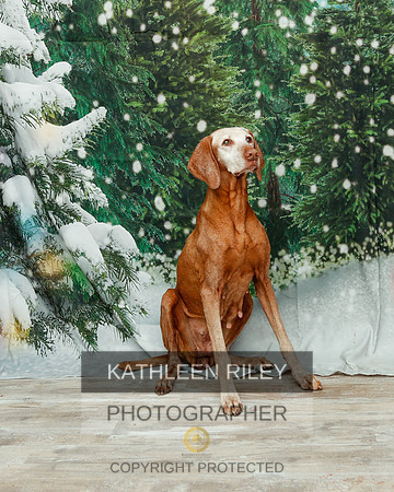 2022-KathleenRileyPhotography-2047