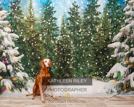 2022-KathleenRileyPhotography-2049
