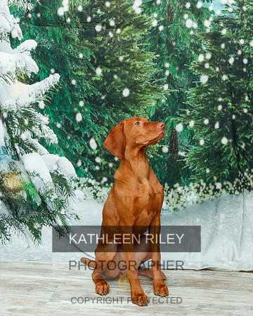 2022-KathleenRileyPhotography-2051