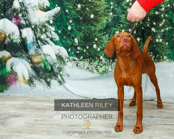 2022-KathleenRileyPhotography-2053