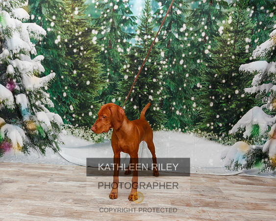 2022-KathleenRileyPhotography-2055