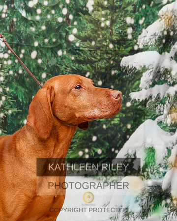 2022-KathleenRileyPhotography-2056