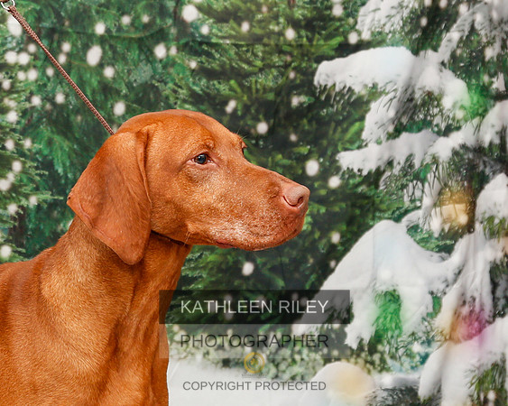 2022-KathleenRileyPhotography-2057