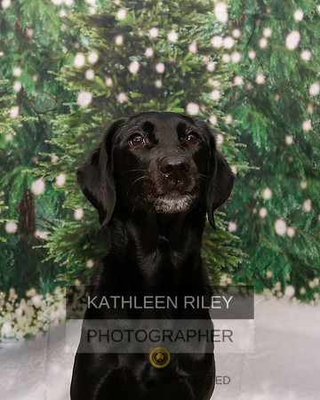 2022-KathleenRileyPhotography-1842