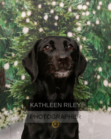 2022-KathleenRileyPhotography-1843