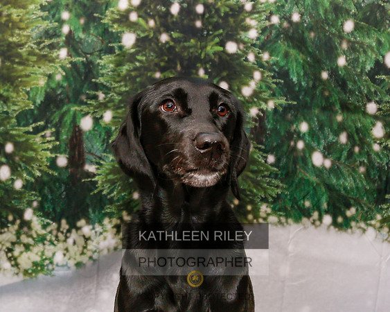 2022-KathleenRileyPhotography-1845