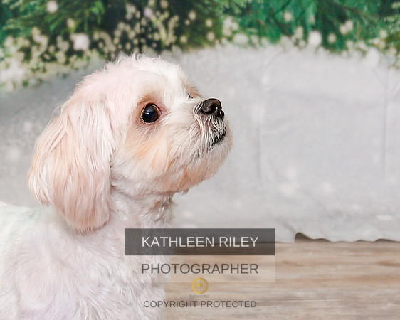 2022-KathleenRileyPhotography-1853