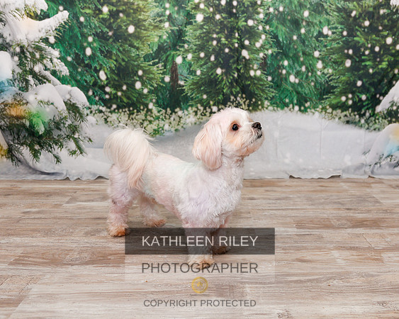 2022-KathleenRileyPhotography-1854