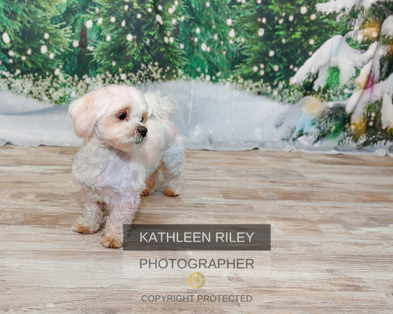 2022-KathleenRileyPhotography-1874