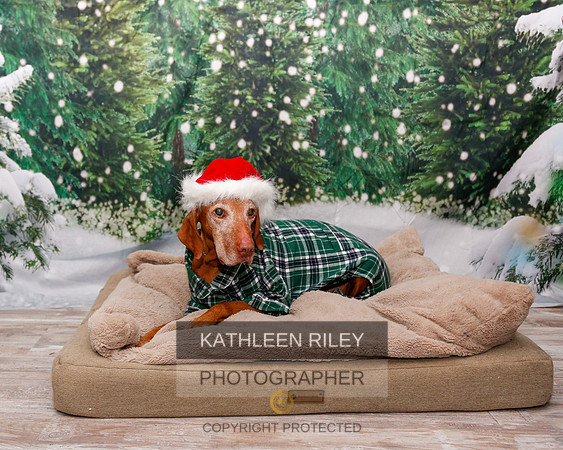 2022-KathleenRileyPhotography-1902