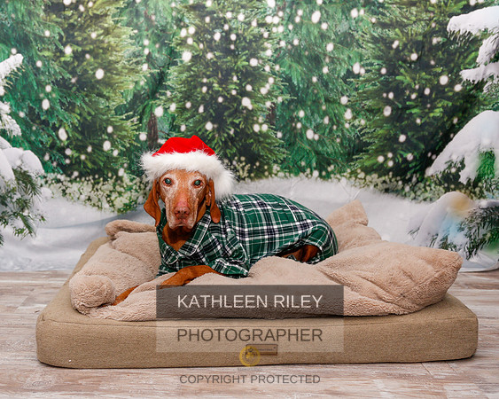 2022-KathleenRileyPhotography-1903