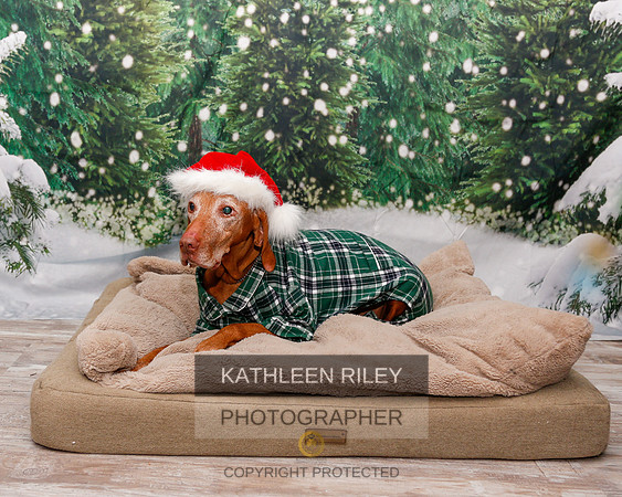 2022-KathleenRileyPhotography-1904