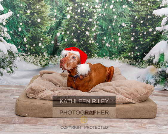 2022-KathleenRileyPhotography-1905
