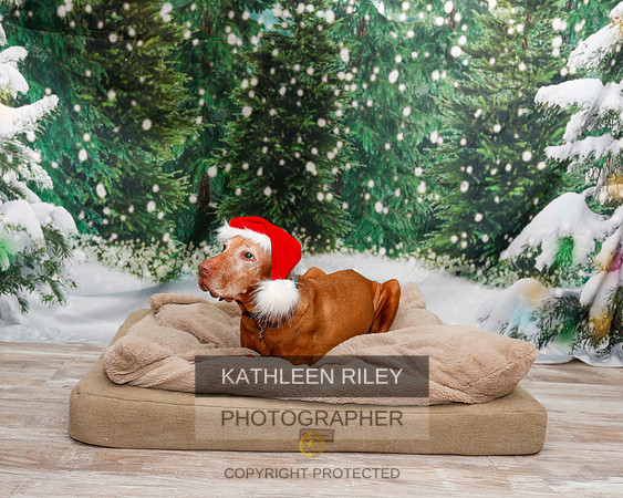 2022-KathleenRileyPhotography-1907