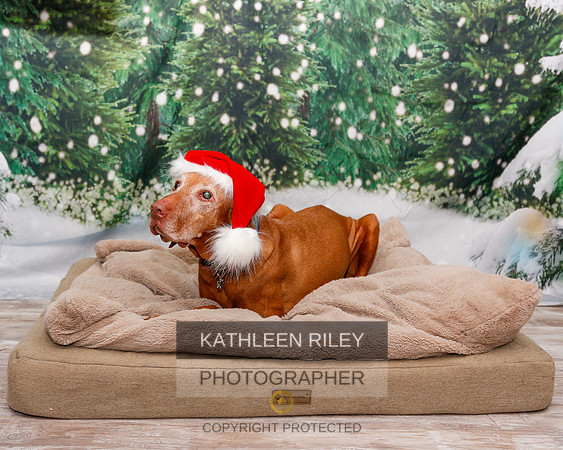 2022-KathleenRileyPhotography-1908