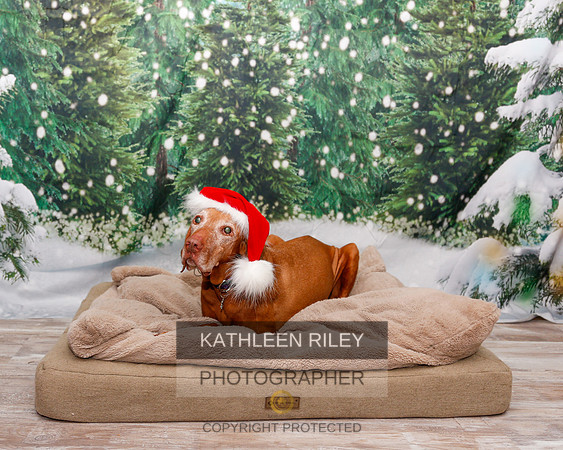 2022-KathleenRileyPhotography-1909