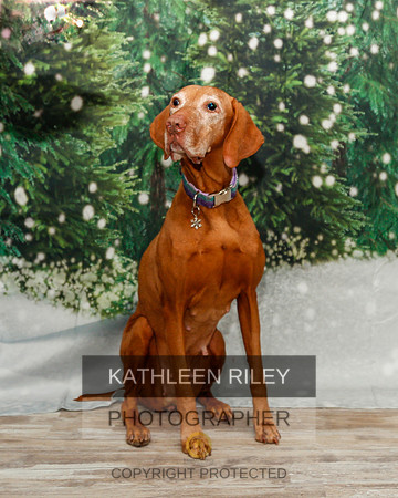 2022-KathleenRileyPhotography-1911