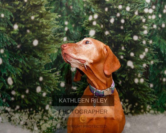 2022-KathleenRileyPhotography-1913