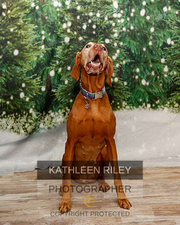 2022-KathleenRileyPhotography-1918