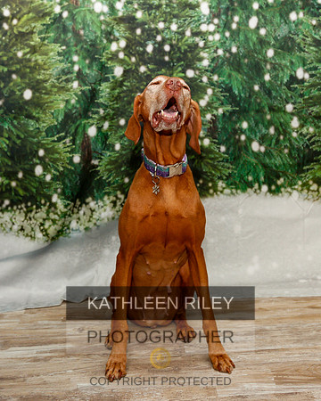 2022-KathleenRileyPhotography-1919