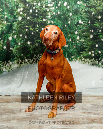 2022-KathleenRileyPhotography-1923