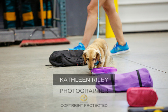 2022-KathleenRileyPhotography-6988