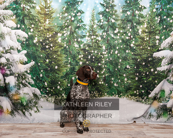 2022-KathleenRileyPhotography-1976