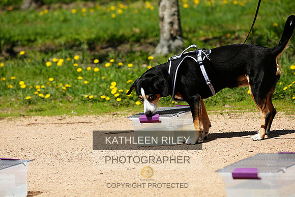 2022-KathleenRileyPhotography-3324 (1)