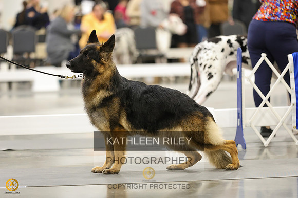 SJLT8446