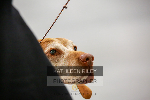 2022-KathleenRileyPhotography-8049