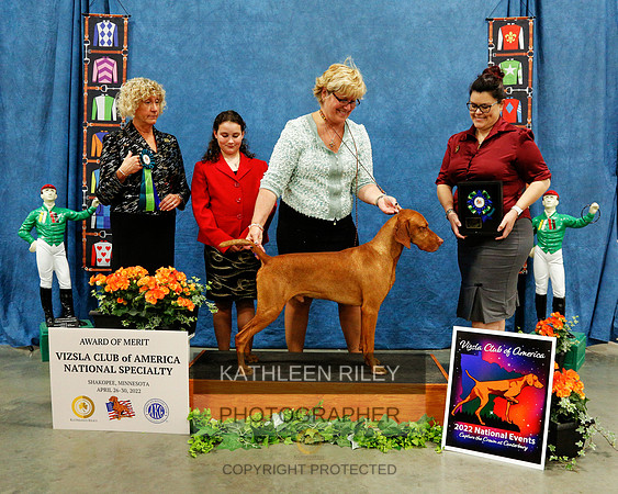 AOM-2022-KathleenRileyPhotography-7497 (1)