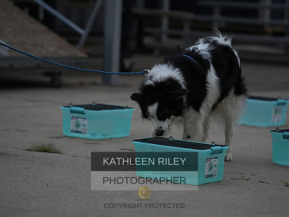 2022-KathleenRileyPhotography021