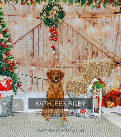2022-KathleenRileyPhotography-2120