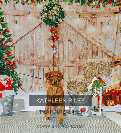 2022-KathleenRileyPhotography-2121