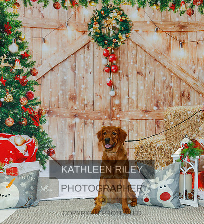 2022-KathleenRileyPhotography-2123
