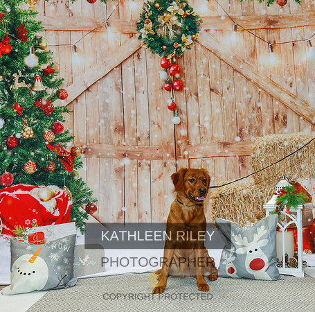 2022-KathleenRileyPhotography-2124