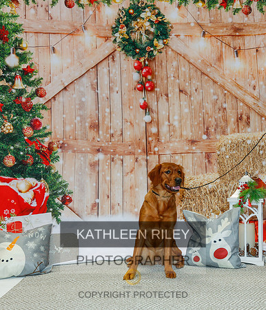 2022-KathleenRileyPhotography-2125