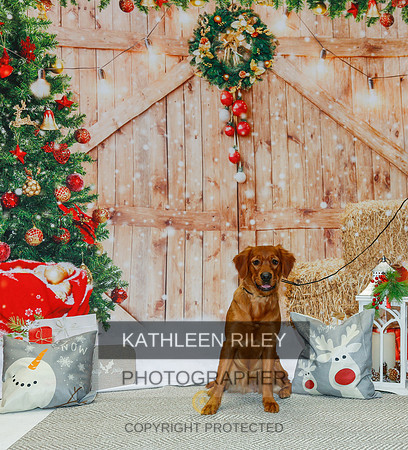 2022-KathleenRileyPhotography-2126