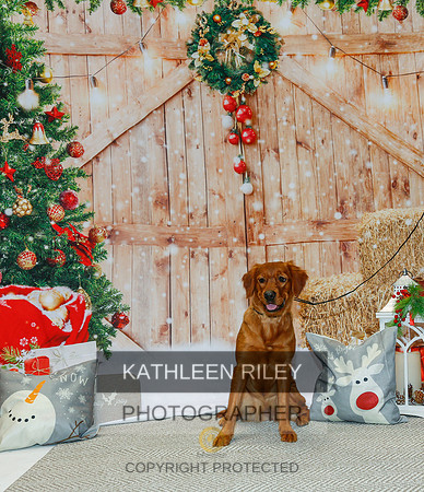 2022-KathleenRileyPhotography-2127
