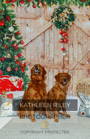 2022-KathleenRileyPhotography-2128