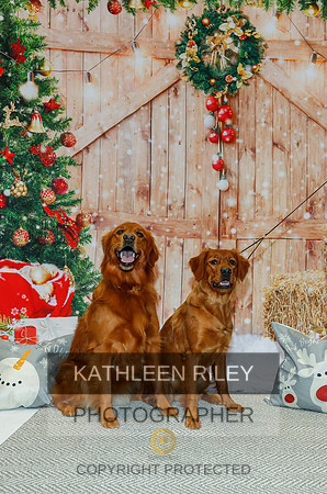 2022-KathleenRileyPhotography-2129