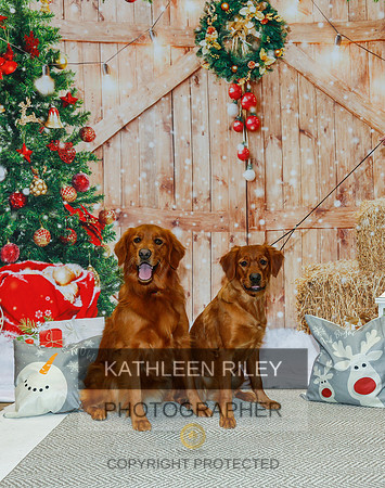 2022-KathleenRileyPhotography-2130
