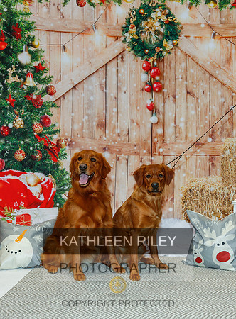 2022-KathleenRileyPhotography-2131
