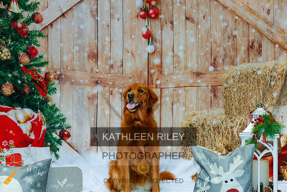 2022-KathleenRileyPhotography-2139