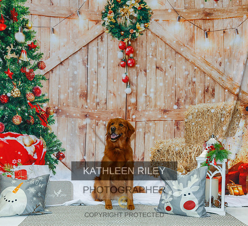 2022-KathleenRileyPhotography-2140