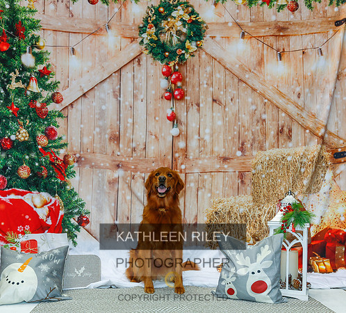 2022-KathleenRileyPhotography-2141