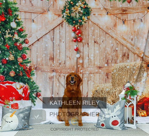 2022-KathleenRileyPhotography-2142